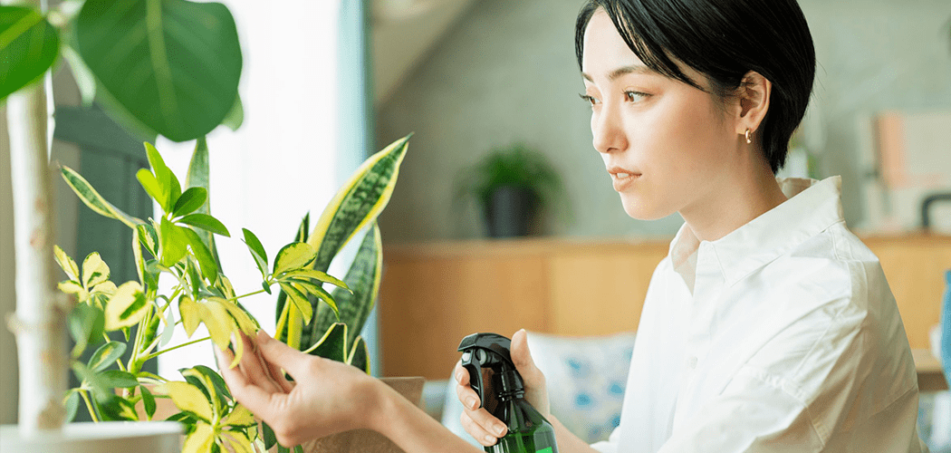 葉っぱを手入れする女性