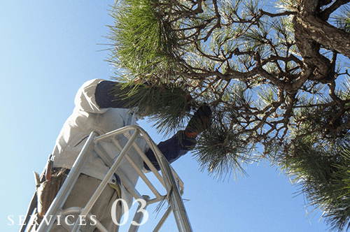 植栽・造園工事、緑地管理