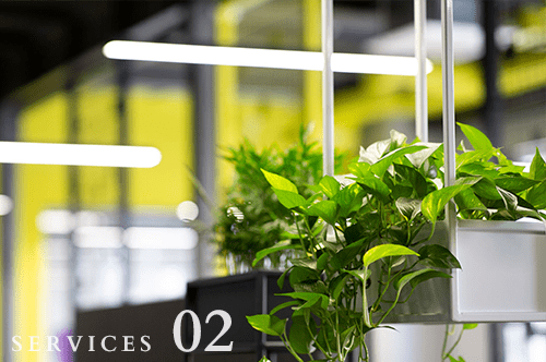 観葉植物レンタル・リース